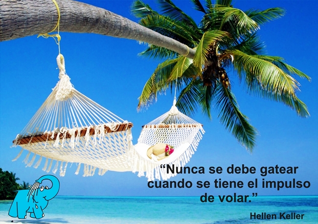 Una Enseñanza de Hellen Keller en la Frase del Día del Elefante Azul de Avilés